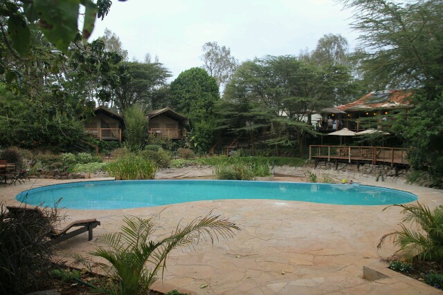 Wildebeest Eco Camp in Nairobi