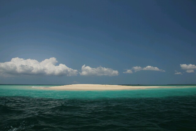 Safari Blue, eine wunderschöne Sandbank mit unglaublichen Grüntönen des Wassers.